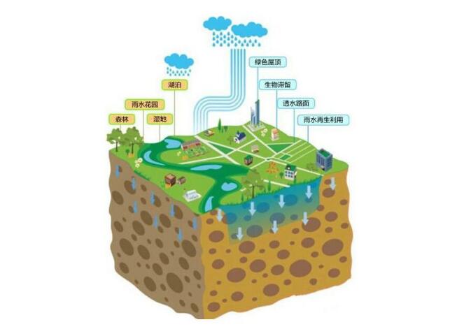 看过文章“种雨水的人：津巴布韦生态农夫菲力的故事”之后，或许你也很想亲手开始实践，把珍贵的雨水“种”到土壤中，种出一片生机蓬勃的绿洲